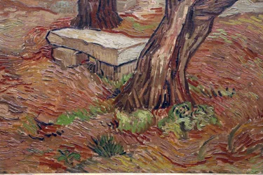 Vincent van Gogh, Steinbank im Irrenhaus von Saint-Rémy
